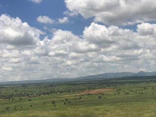 EchoAfrica Trip 2.0 Day 4 - Kenya