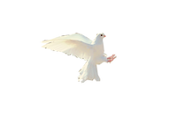 duvart.png
