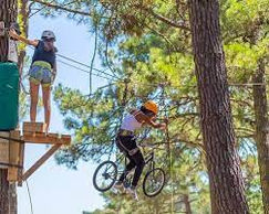 téléchargement (7).jfif