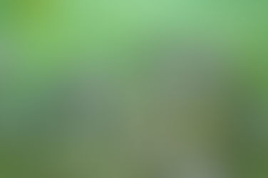 ¡Ya paren el saqueo de la 4T! 