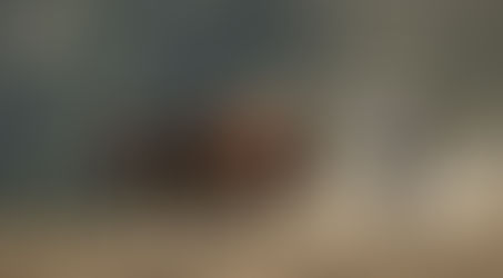 Primero la alimentación