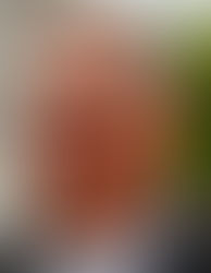 Juez federal ordena restituir a Gerardo Octavio Vargas Landeros, alcalde de Ahome, Sinaloa