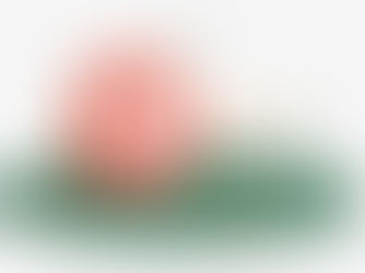 Impreciso Plan para Michoacán