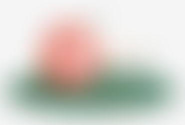 Impreciso Plan para Michoacán