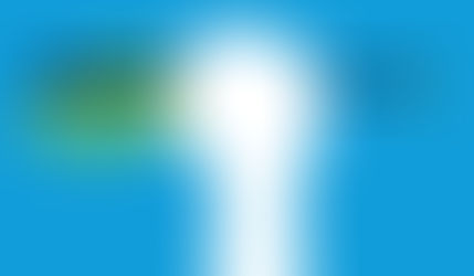 ¿Quiénes son más carroñeros, los que la critican o los que le aplauden?