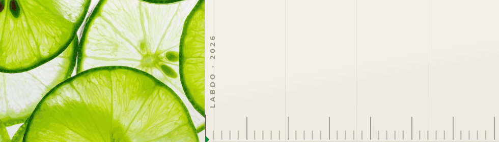 LabDO_escala_980x280.gif