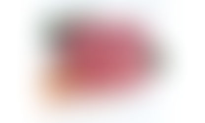 La señora Sheinbaum hurga en su monedero