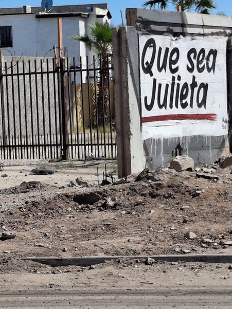 El síndrome del ladrillo 