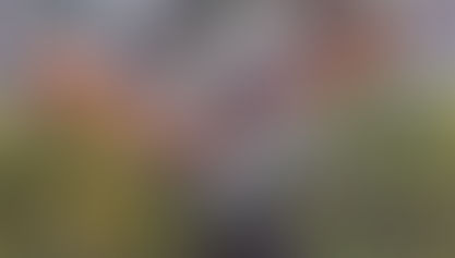 EL METRO Y SERRANÍA