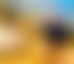 “¡Voy a derrotar a Elizabeth Morales, el PT nacional y estatal me respaldan!”, Vicente Aguilar