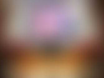 Senado, pieza fundamental del engranaje democrático del paÃs, destaca presidenta de la Mesa Directiva