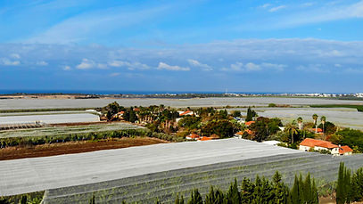 גבע (36 of 1).jpg