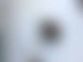 ブローチを楽しもう