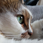 IMG_8767.png
