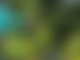 Make Your Yard Beautiful With The Help Of Tree Professionals