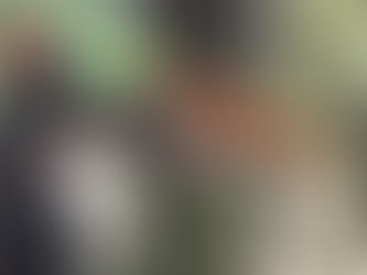 When It Is Right Time To Remove A Tree?