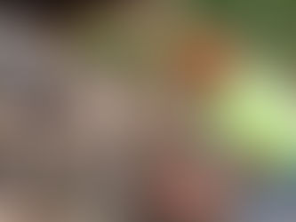 Why Is Tree Work Expensive?