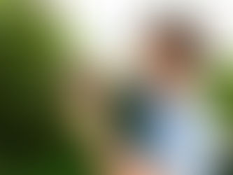 How To Protect Diseased Tree In The Yard Of Your House