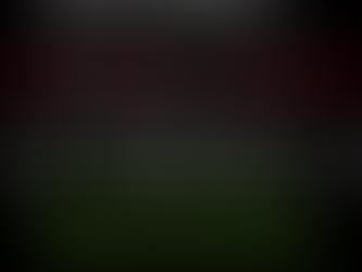 Choosing a Tree Care Service