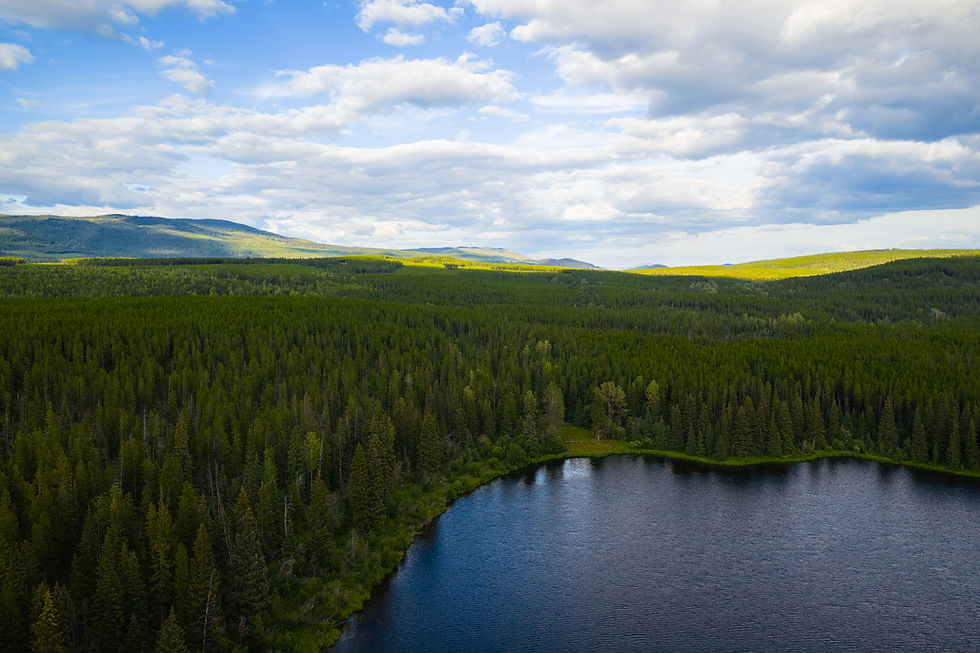 Chinook Community Forest Launches New Film Celebrating Local Stewardship and Wildfire Resilience