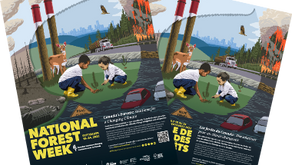 Statement on National Forest Week from the BC Minister of Forests