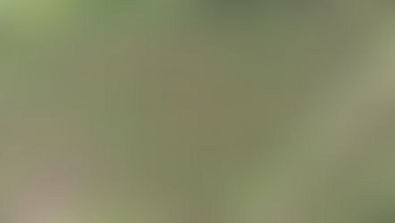 Lower North Thompson Community Forest leads wildfire risk reduction in the Barriere Lakes Area