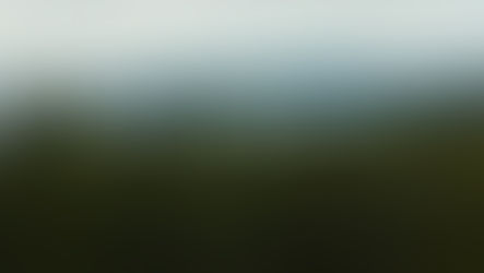 New Film Showcases Sunshine Coast Community Forest’s Long-Term Vision for Land, Water, and Community