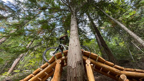 BCCFA Launches 2025 Indicators Report and New Brand 