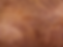 Untitled design-6.png