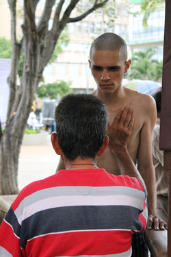 MATEUS ALECCI(BRASIL)