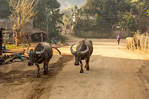 Ben Thanh Market