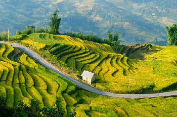 Khau-pha-pass.gif