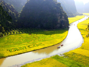 Experiencing the Best of Ninh Binh and Sapa in 4 Days: A Guide for the Discerning Traveler
