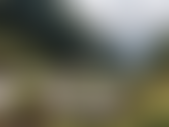 Ha Giang Loop: Ride the Wild