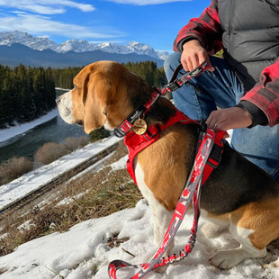 Canadian Rockies Dog Leash