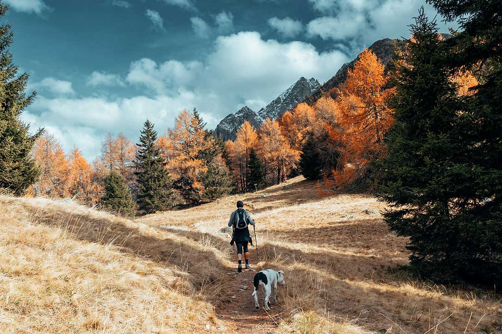 6 Tips For Hiking With Your Dog
