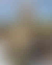 Canadian Rockies Dog Collar