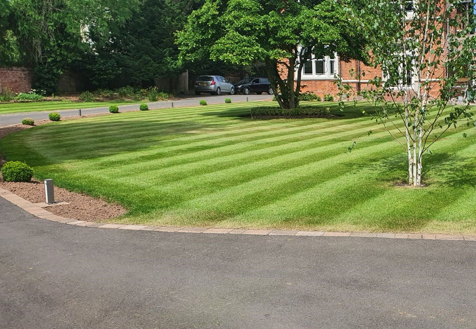 Front Lawned Garden.