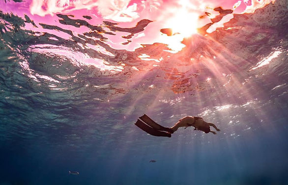 natdive.jpeg