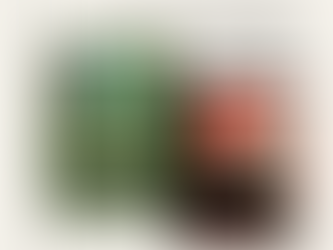 Ficção de escárnio em Alex (1997) e Jardim Europa (2013)