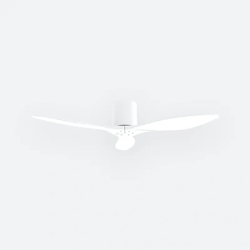 Thumbnail: F50N Modern DFY Decor Fan (NL2/T5F)