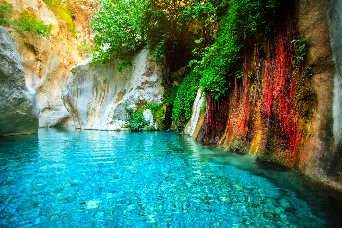 Water Paradise
