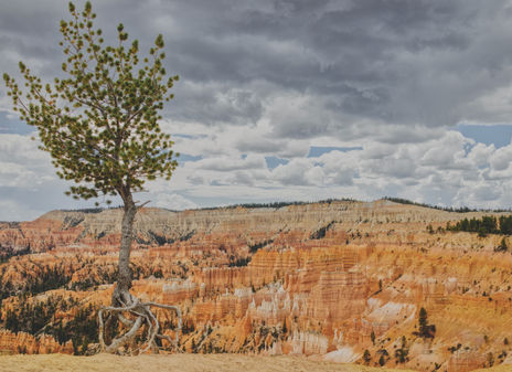 Bryce Canyon 5994tm.jpeg