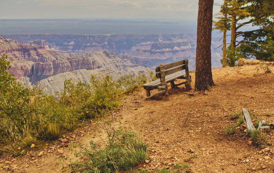 Cape Royal Road 4044tm.jpeg