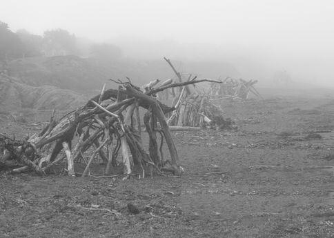 Cambria fog 2484 b&w.jpeg