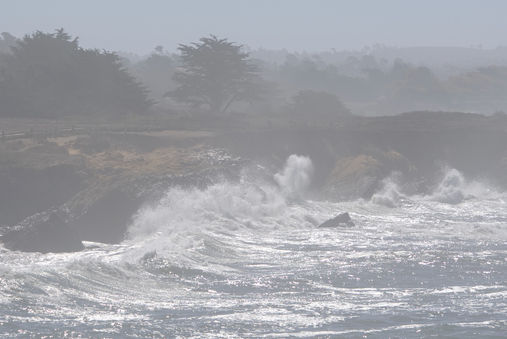 Cambria 4769 new.jpeg