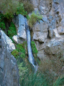 2011 Darwin Falls (1).jpeg