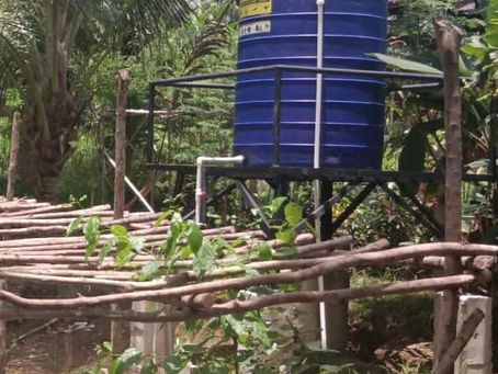 Preparing for El Niño: Collecting Rainwater and Planting Cover Crops at Cebu’s Escario BOTANICAL Garden