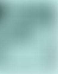 Curro Rivera - No dejas de estudiar al toro hasta que lo matas