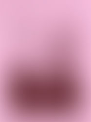 Padre Silvino Robles Gutiérrez - Llevo la música en la sangre